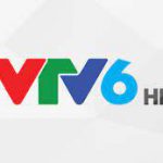 Cách xem trực tiếp bóng đá Việt Nam trên VTV6 nguồn load nhanh